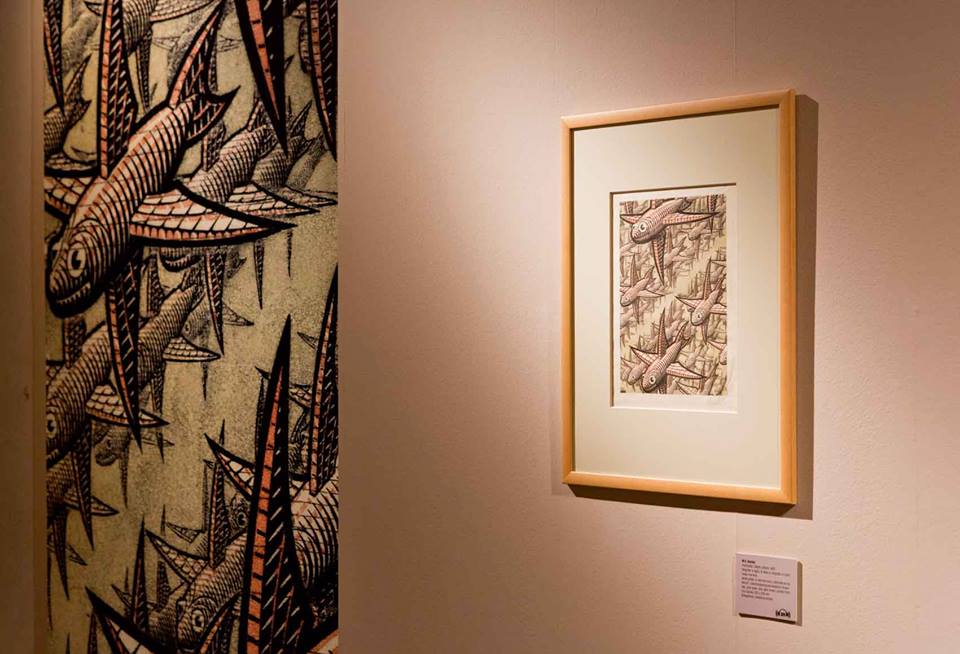 Escher, allestimento mostra