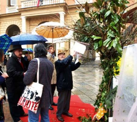 albero-desideri-2011-mario-alvarez-11